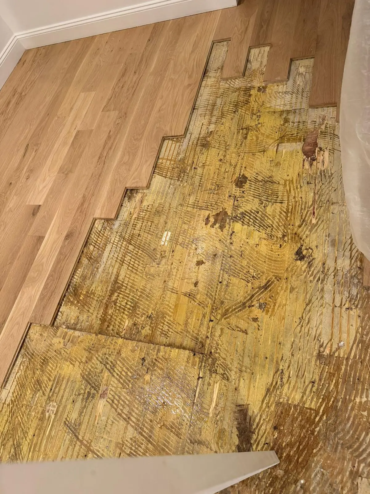 Prep · WAKOL PU 280 moisture barrier on the exposed plywood, left to dry fully.